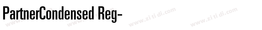 PartnerCondensed Reg字体转换